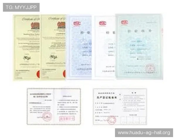 ag登录网娱乐平台最新安全措施,保障玩家账号信息安全与资金安全 ag登录网娱乐平台最新安全措施,保障玩家账号信息安全与资金安全