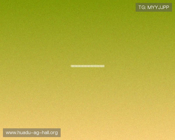 乌拉圭对佛得角比赛中防守强度分析与战术布局详解